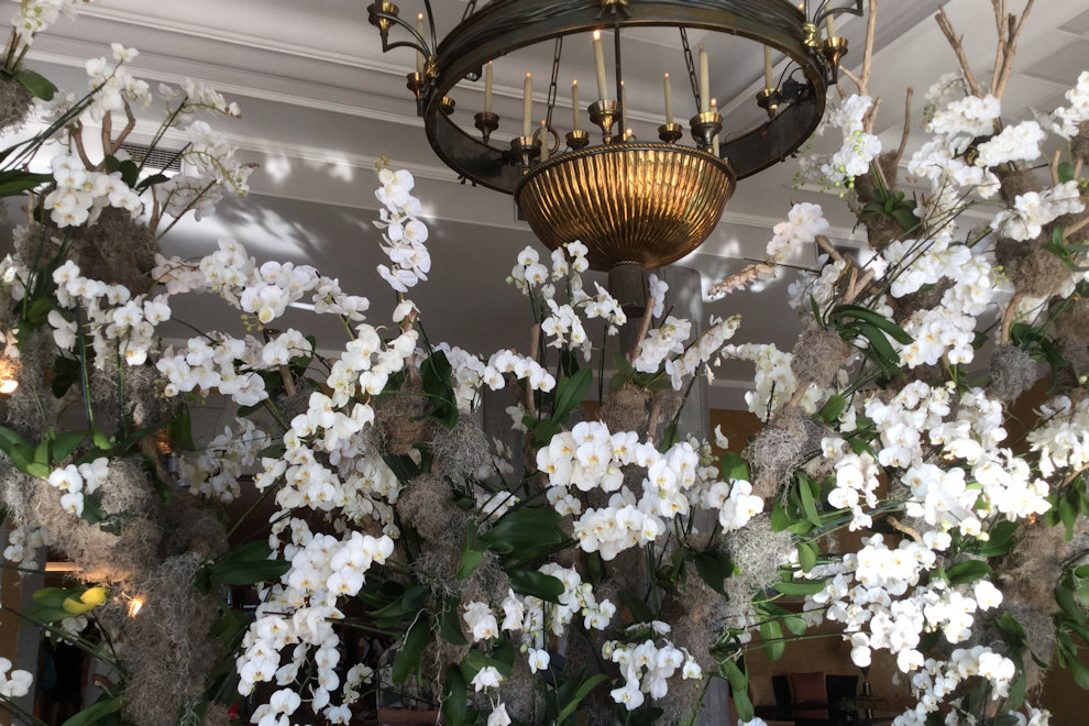 Our Lisbon Hotel photograph